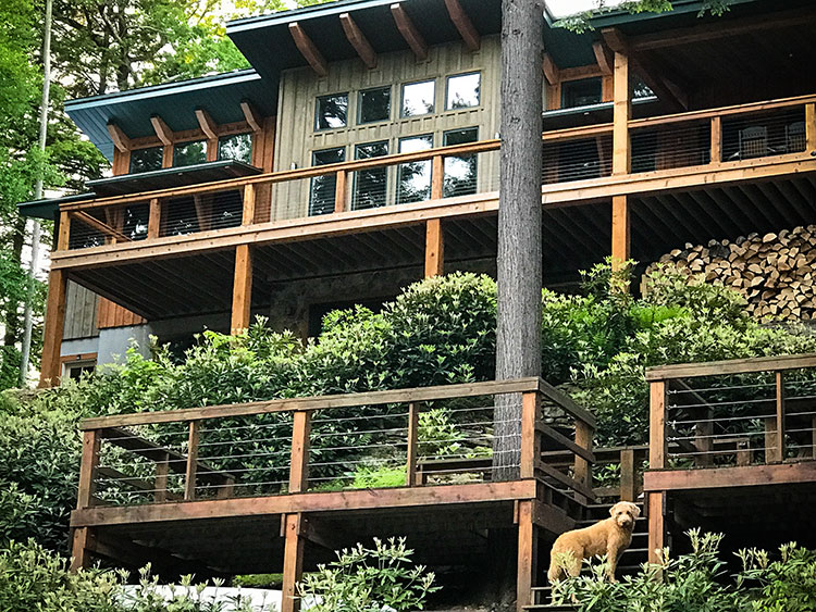 Timberbuilt's timber frame home on a steep hill with trees and a multi level garden